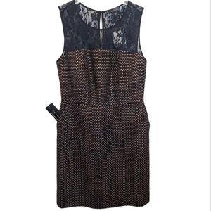 The Limited Women's Size 2 Black Dress Gold Copper Metallic Lace Sleeveless